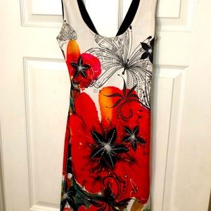 Crimson Ivory Summer Dress